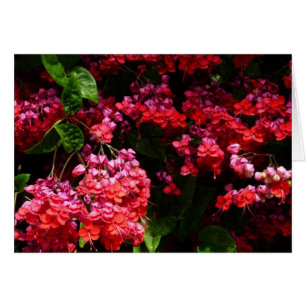 Cartão Flores de Pagode Colorido de Vermelho e Rosa