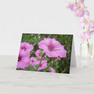Cartão Flores de Petunia Roxas e Folhagem Verde
