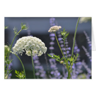 Cartão Flores de Prados