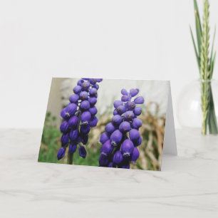 Cartão Flores de primavera