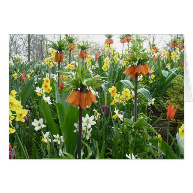 Cartão Flores de primavera divertidas - amarelo e laranja (Frente horizontal)