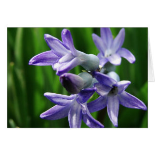 Cartão Flores de primavera roxas