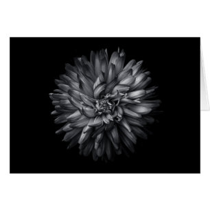 Cartão Flores De Quintal Em Preto E Branco 20