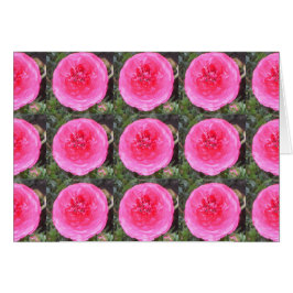 Cartão Flores de Ranunculus Rosa Quente
