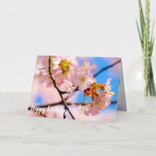 Cartão Flores De Sakura Rosa Num Dia Quente De Springtime