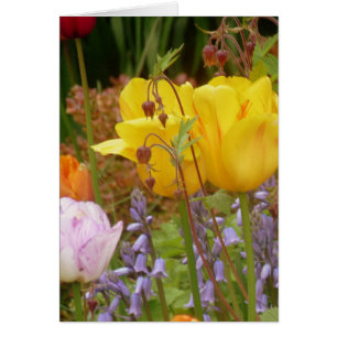 Cartão Flores De Tensão