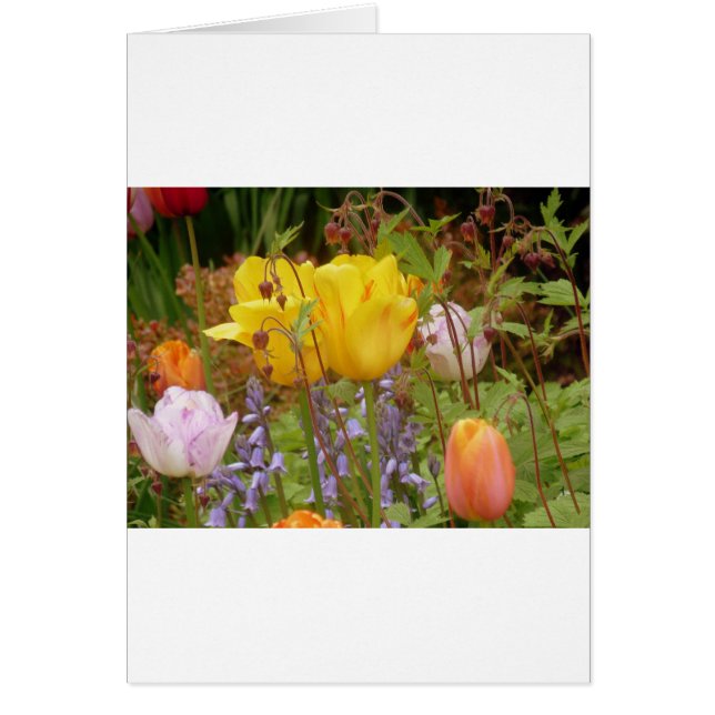 Cartão Flores De Tensão (Frente)