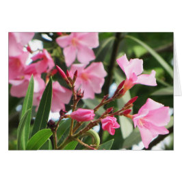 Cartão Flores de Verão