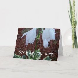 Cartão Flores delicadas de Hosta do Sol branco em uma Sim