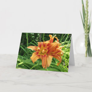 Cartão Flores Diurnas Laranja Horizontais