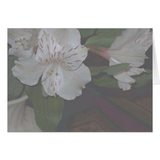 Cartão Flores do Alstroemeria