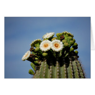 Cartão Flores do cacto do Saguaro