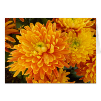 Cartão Flores do jardim de Longwood