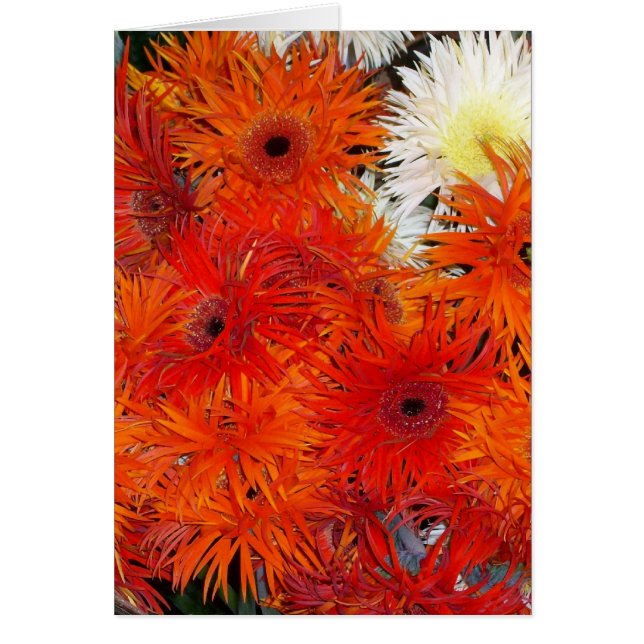 CARTÃO FLORES DO OUTONO (Frente)