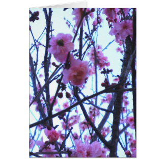 Cartão Flores do primavera