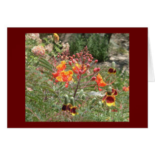 Cartão Flores do sudoeste do deserto
