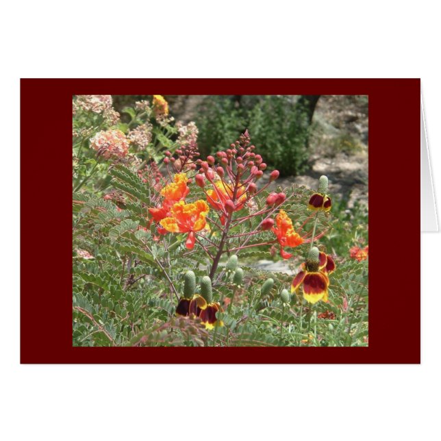 Cartão Flores do sudoeste do deserto (Frente Horizontal)