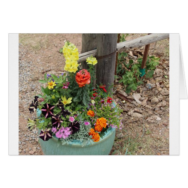 Cartão Flores do verão no pote de turquesa (Frente Horizontal)