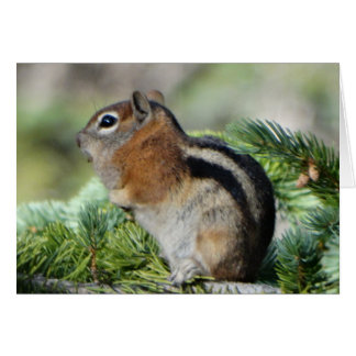 Cartão Flores e pequeno Chipmunk fofo