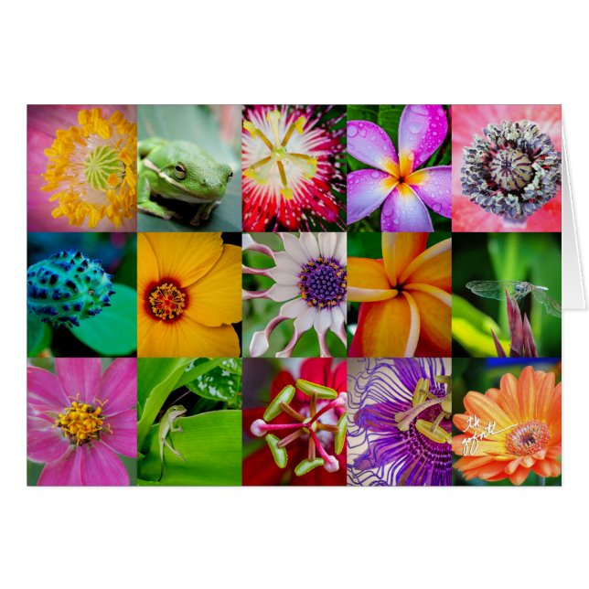 Cartão Flores Elegantes e Criaturas Padrão Floral (Frente Horizontal)