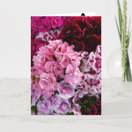 Cartão Flores em Flor