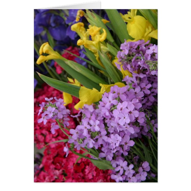 Cartão Flores em Várias Cores (Frente)