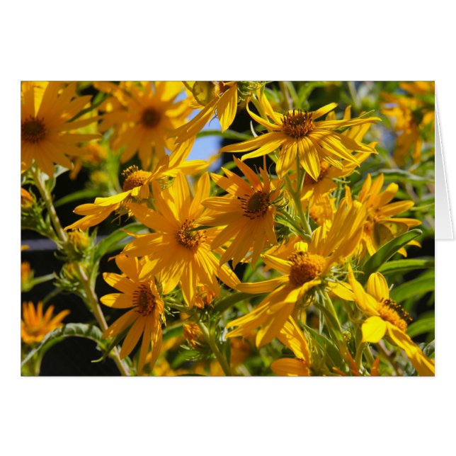 Cartão Flores en mi hierbas " flores em minhas ervas dani (Frente Horizontal)