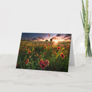 Cartão Flores   Flor selvagem no interior da Índia