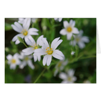 Cartão Flores florestais selvagens