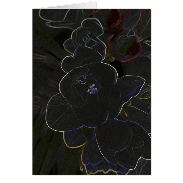 Cartão flores freesia esboçadas (Frente)