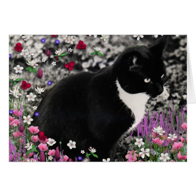 Cartão Flores II - Gato Tuxedo (Frente Horizontal)