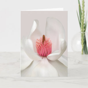 Cartão Flores   Magnésia Branca