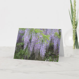 Cartão Flores Modernas de Wisteria Roxo Elegante se dão b