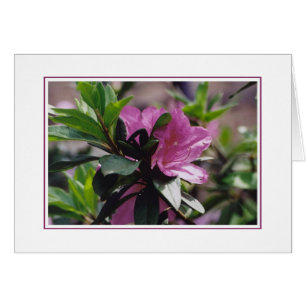 Cartão Flores na fazenda de Gibbs