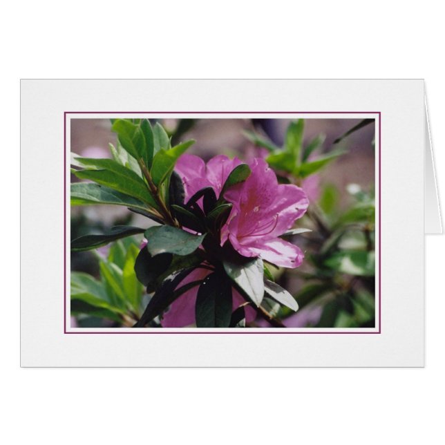 Cartão Flores na fazenda de Gibbs (Frente Horizontal)