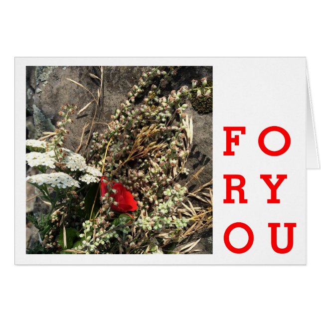 Cartão Flores naturais (Frente Horizontal)