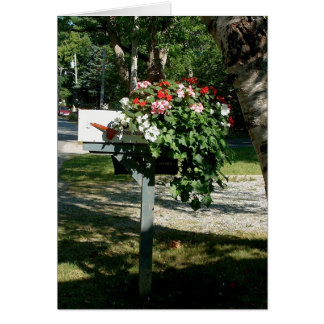 Cartão Flores no Correio