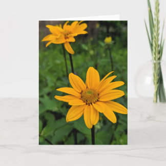 Cartão Flores no jardim