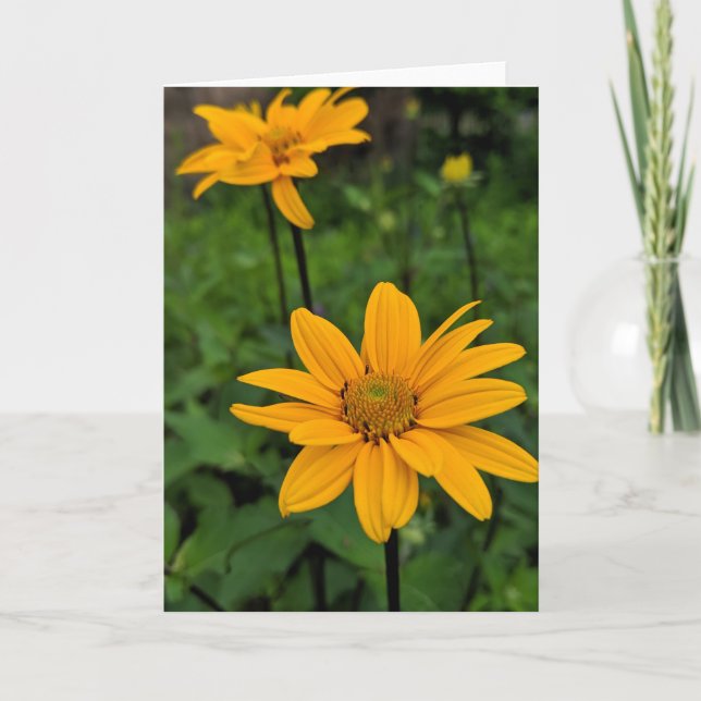 Cartão Flores no jardim (Frente)