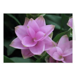 Cartão Flores nos Jardins Longwood