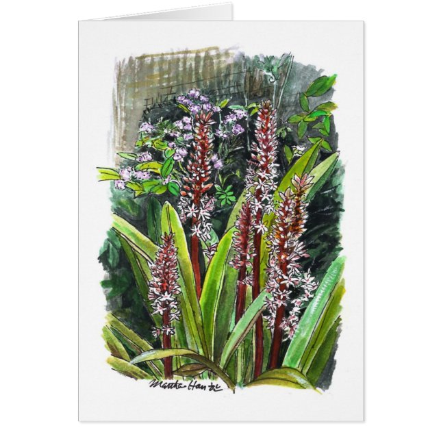 Cartão Flores num jardim (Frente)