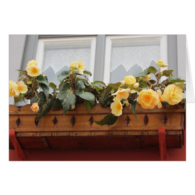 Cartão Flores numa Caixa de Janela (Frente horizontal)