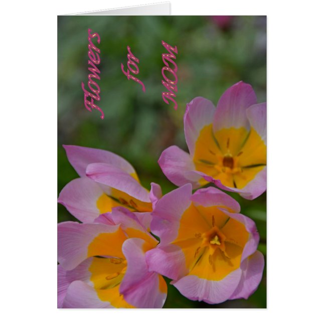 Cartão Flores para a mãe (Frente)