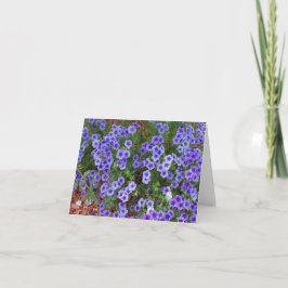 Cartão Flores Phlox roxas em um obrigado