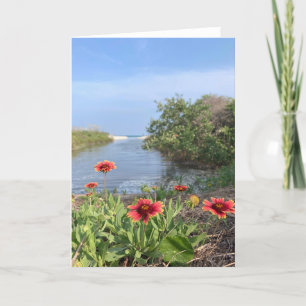 Cartão flores por mar (vazio dentro)