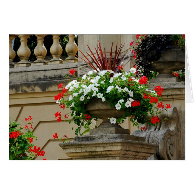 Cartão Flores Quadradas do Capitão (Frente Horizontal)
