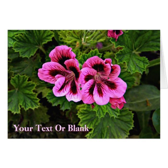 Cartão Flores Rosa 1 (Frente Horizontal)