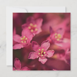 Cartão Flores Rosa Bonitas