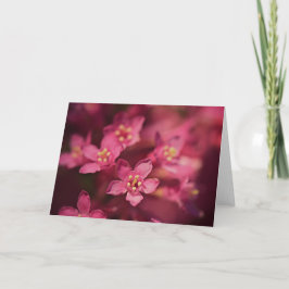 Cartão Flores Rosa Bonitas