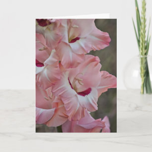 Cartão Flores rosa de Placa de Nota de Arte Gladiolus